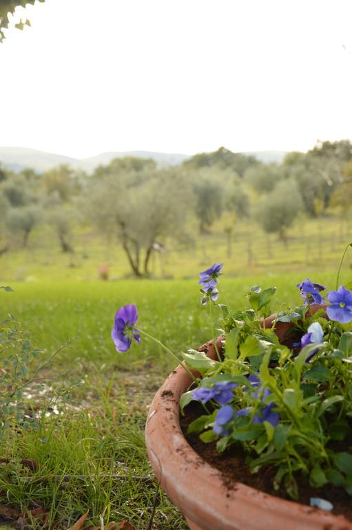 Agriturismo Riparossa Vakantieboerderij *