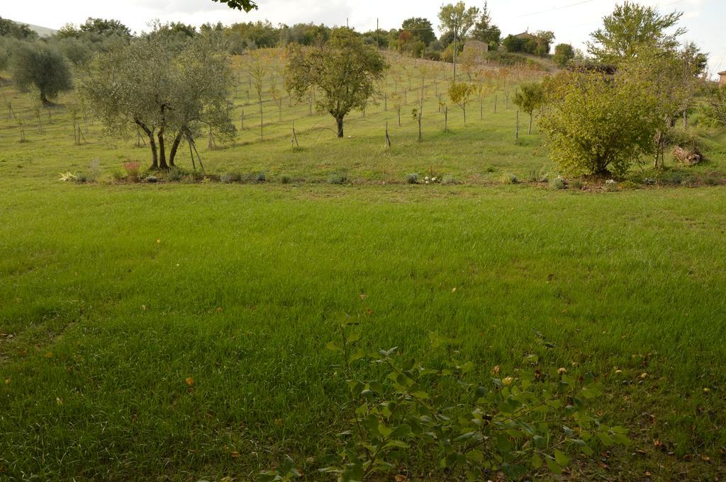 Vakantieboerderij Riparossa