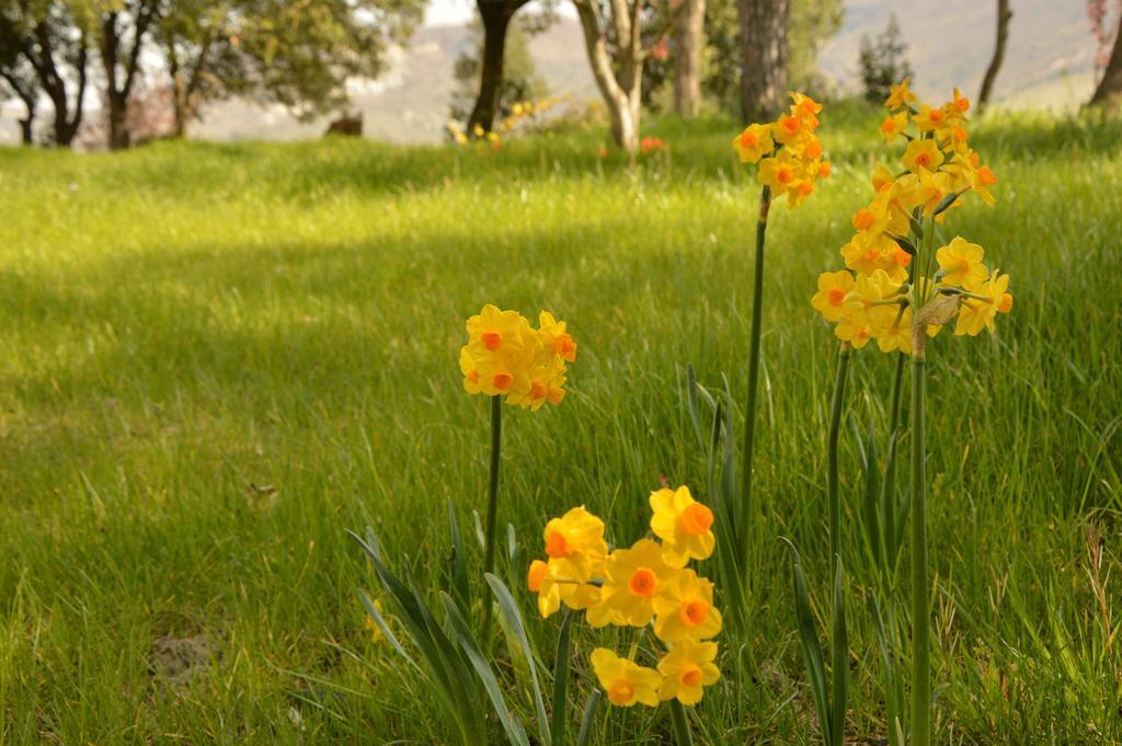 Agriturismo Riparossa * Allerona