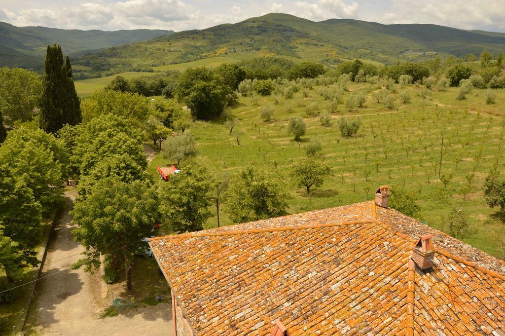 Riparossa Vakantieboerderij Allerona