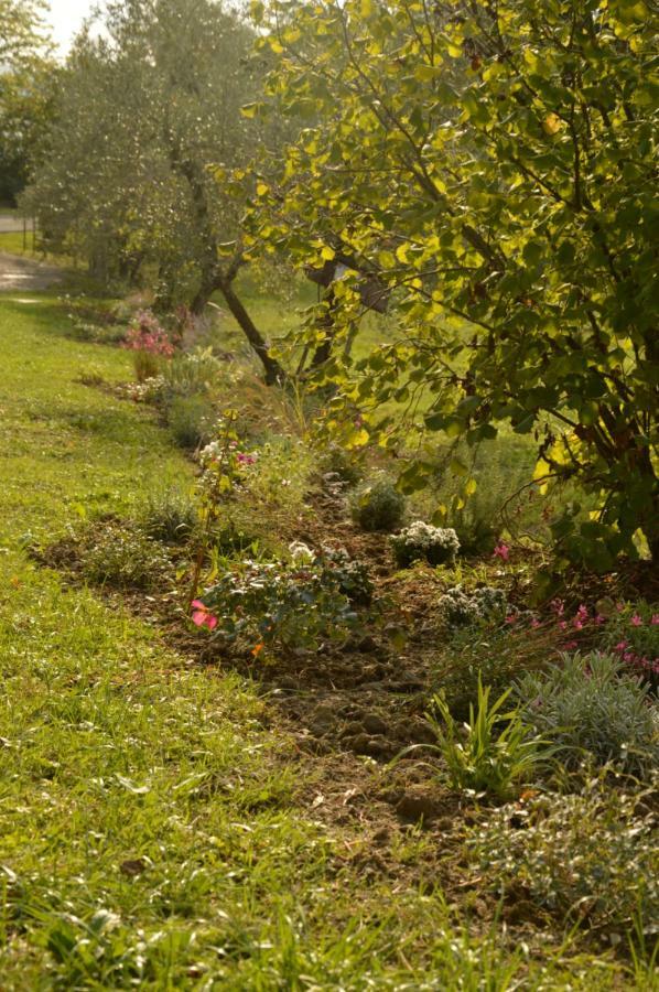 Agriturismo Riparossa