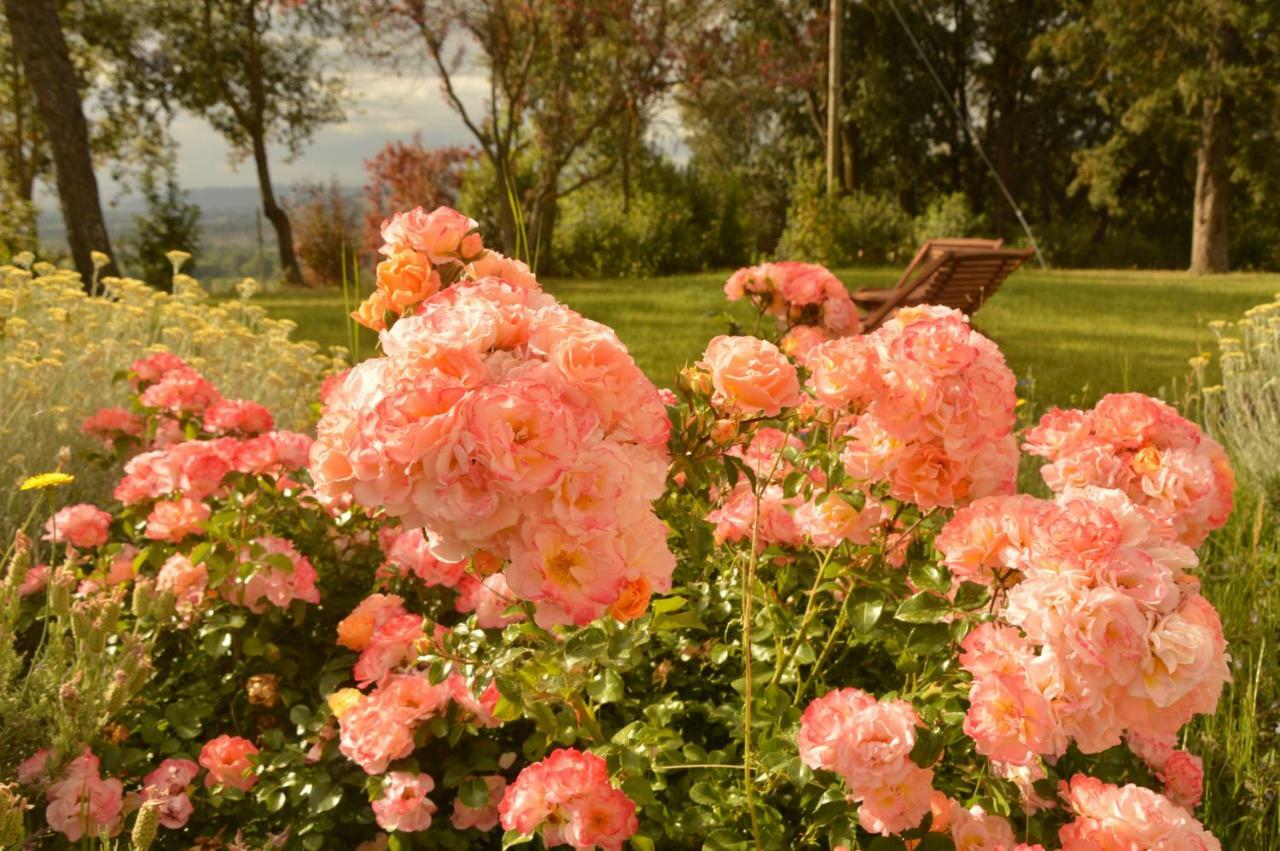 Vakantieboerderij Agriturismo Riparossa